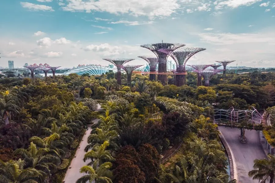 gardens by the bay singapore