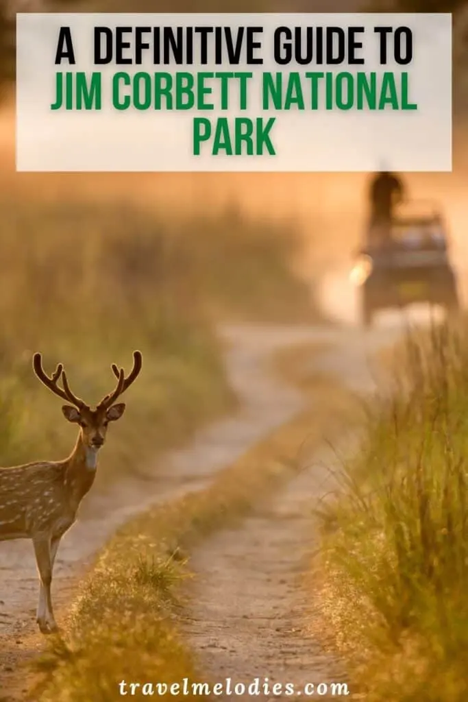 jim corbett national park ramnagar uttarakhand india