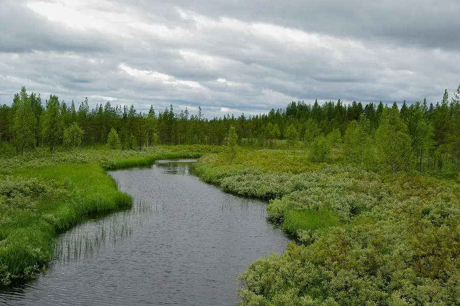 trip to lapland in summer