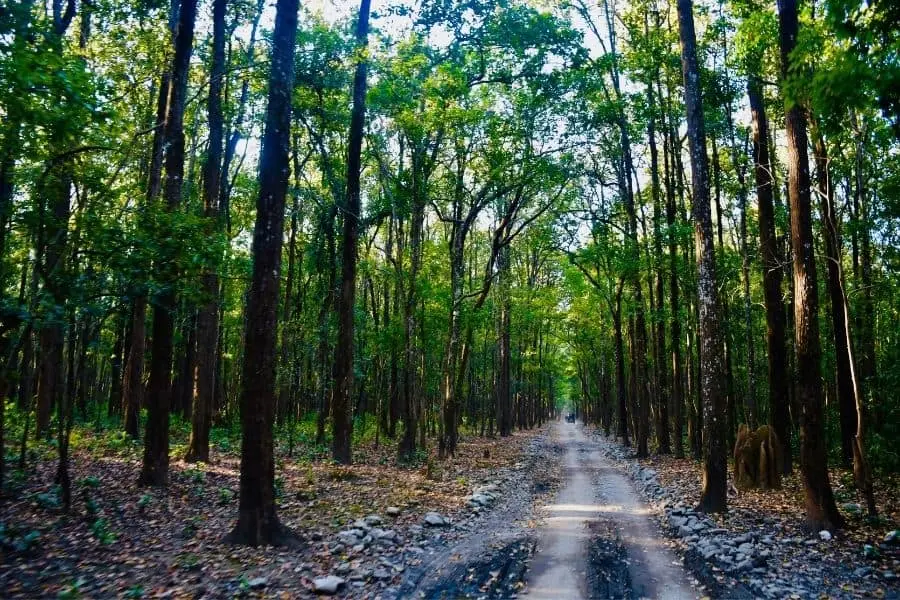 sitabani buffer zone jim corbett