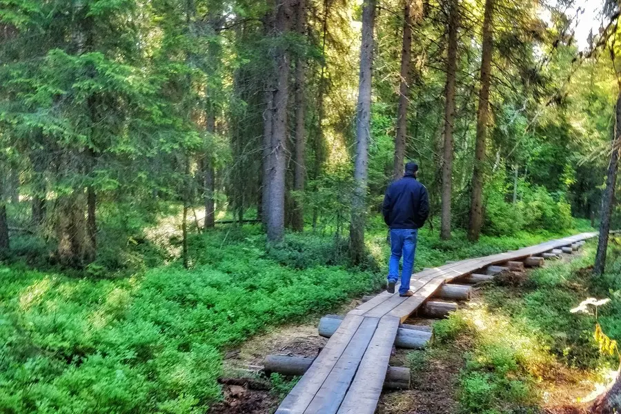 nature trails and hikes in lapland in summer