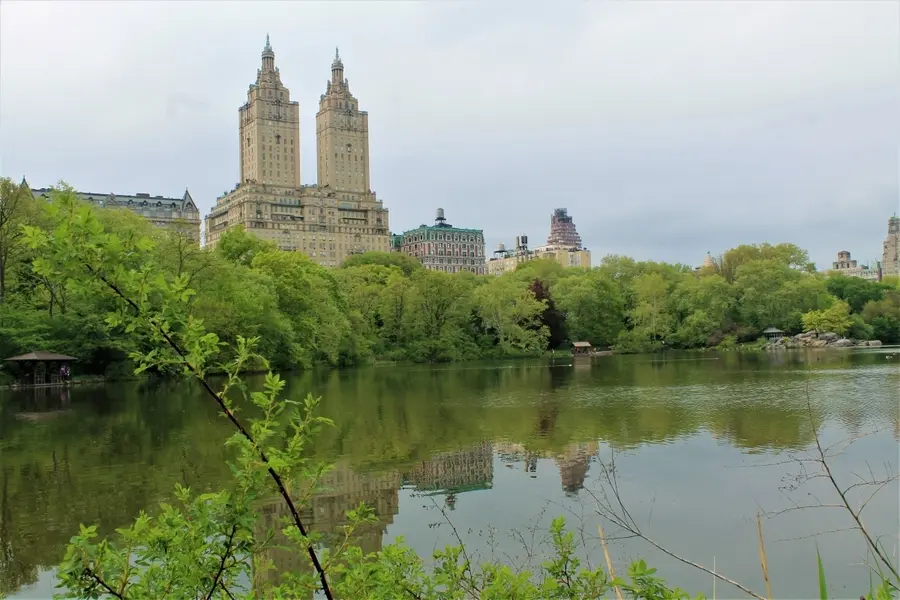 central park new york city with kids