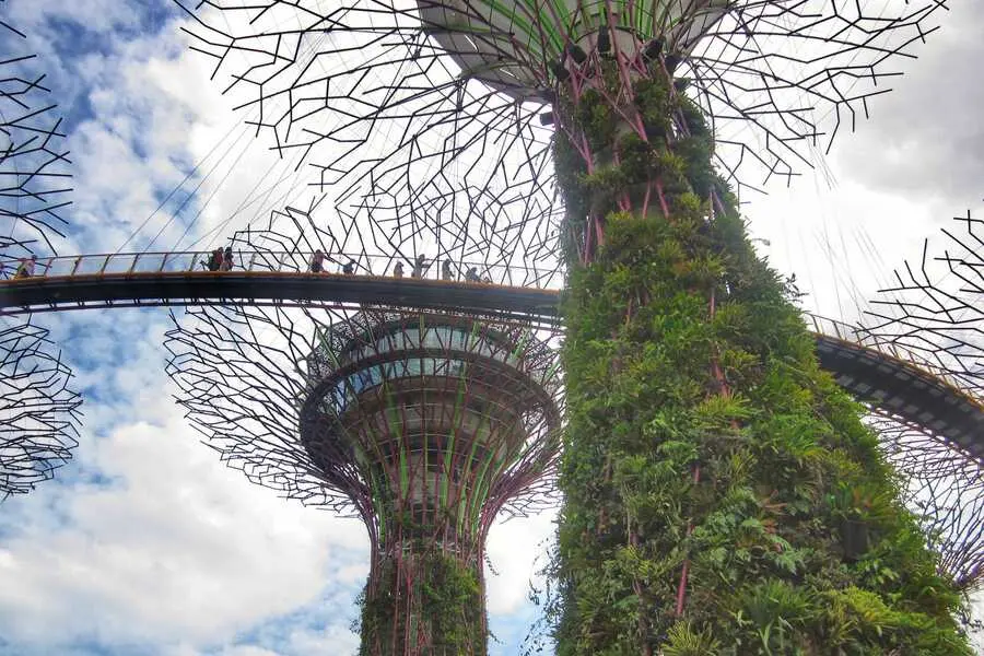 OCBC skyway gardens by the bay singapore
