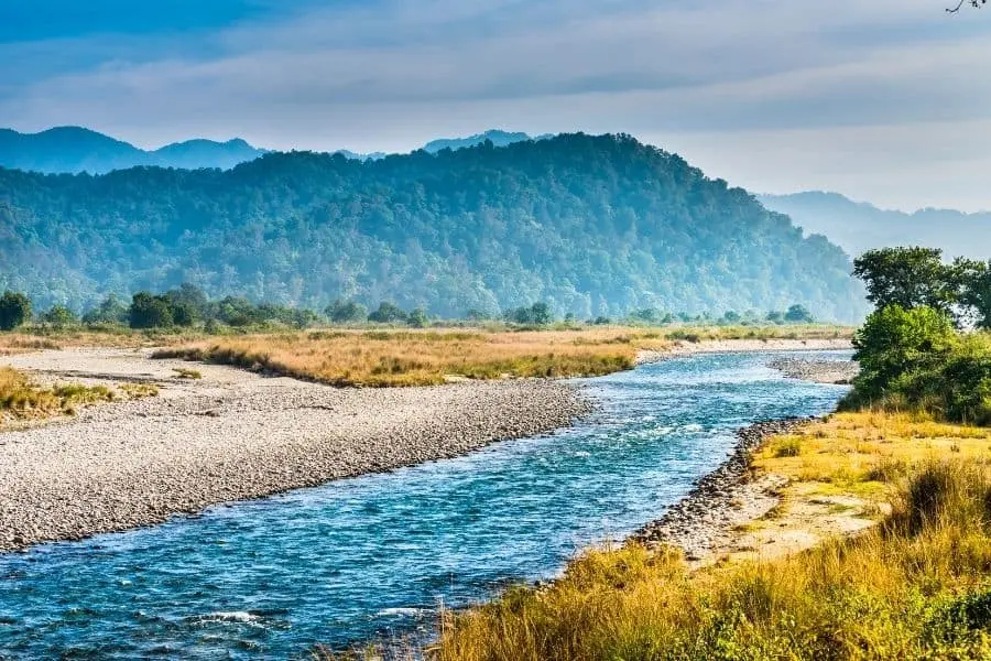 ramganga river corbett tiger reserve ramnagar uttarakhand