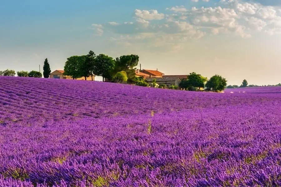 road trip through provence france best european road trips