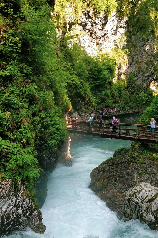 roaring radovna at vintgar gorge slovenia