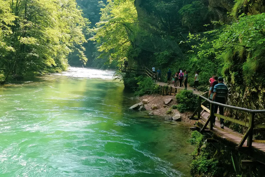 soteska vintgar slovenia