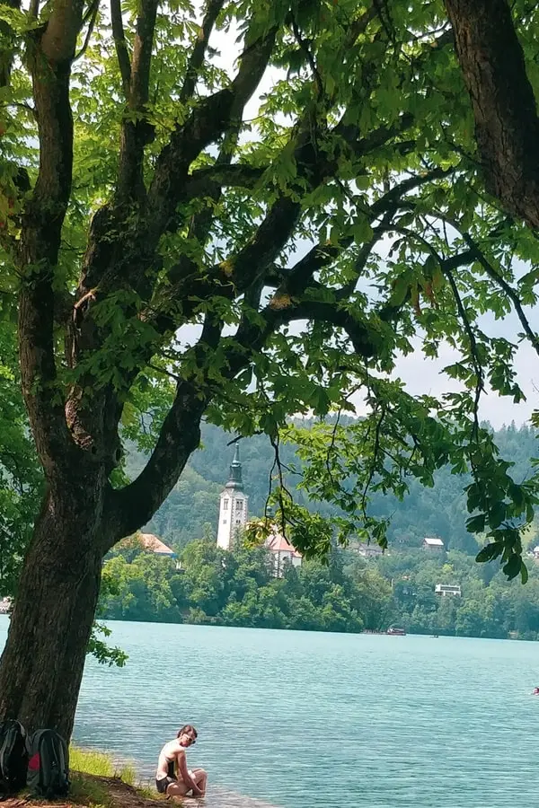 swimming in lake bled slovenia