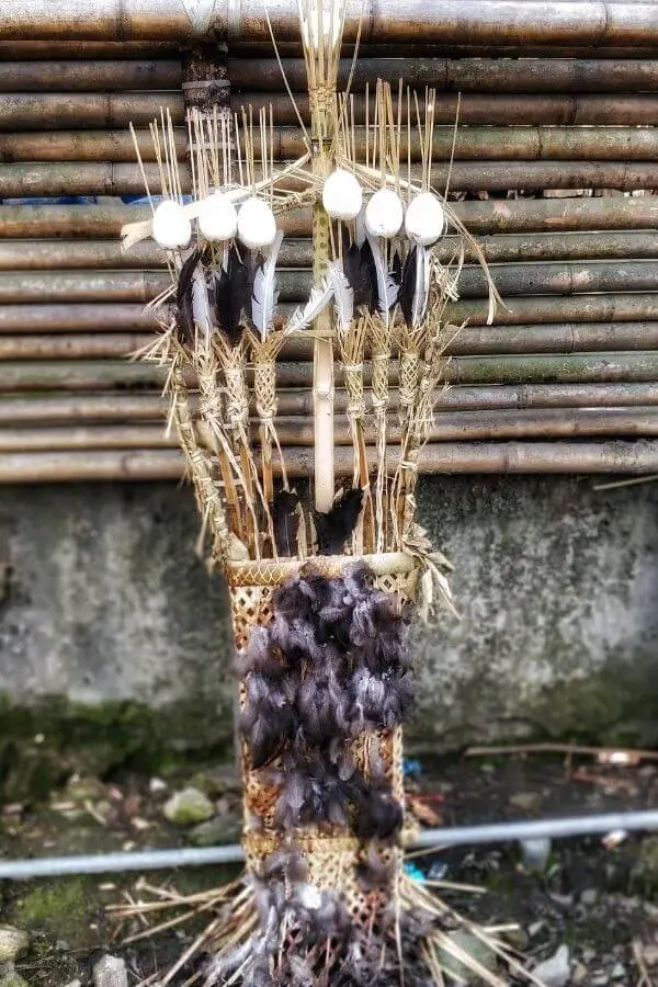 totem apatani tribal tradition