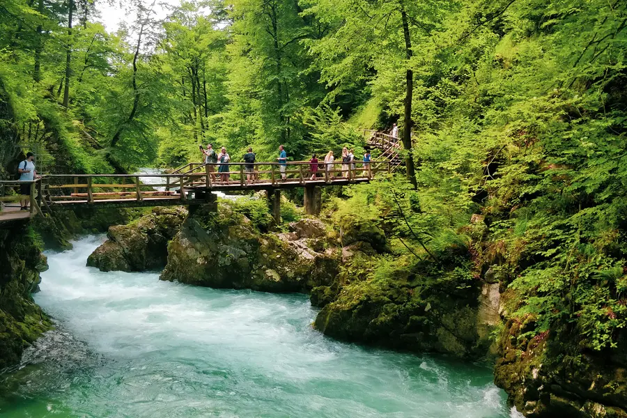 vintgar gorge wooden walkways zumer galleries
