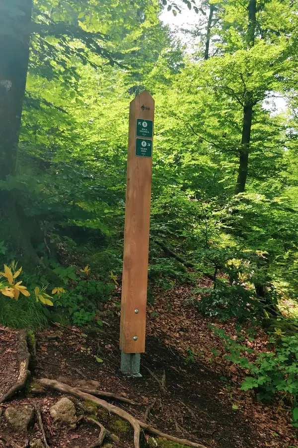 well-marked mala osojnica trail in lake bled slovenia