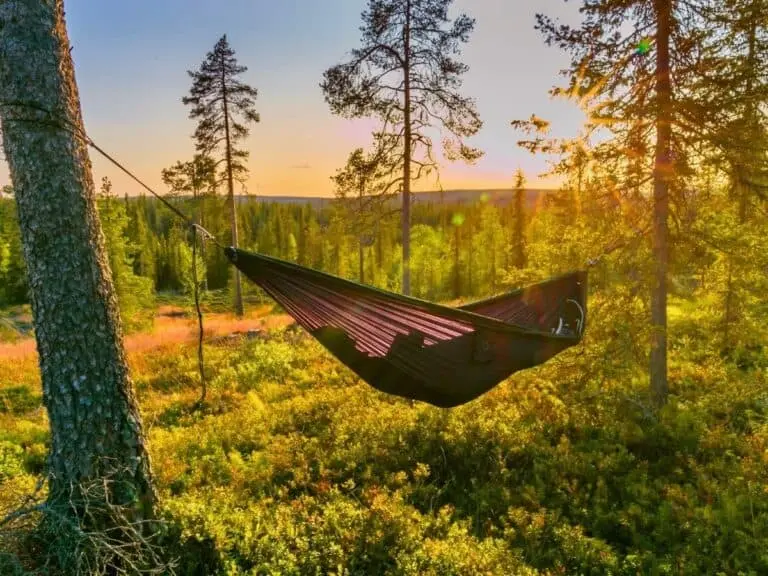 trip to lapland in summer rovaniemi finland finnish lapland