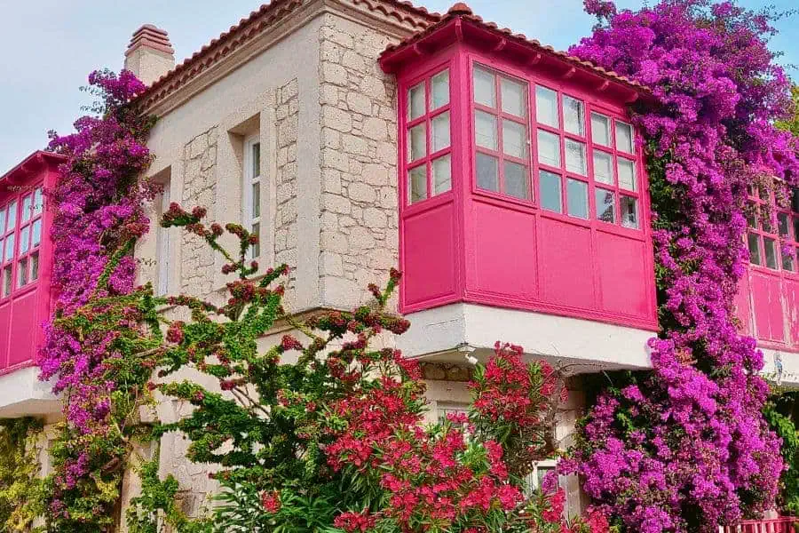 turkey alacati stone house bougainvillea pastels beautiful