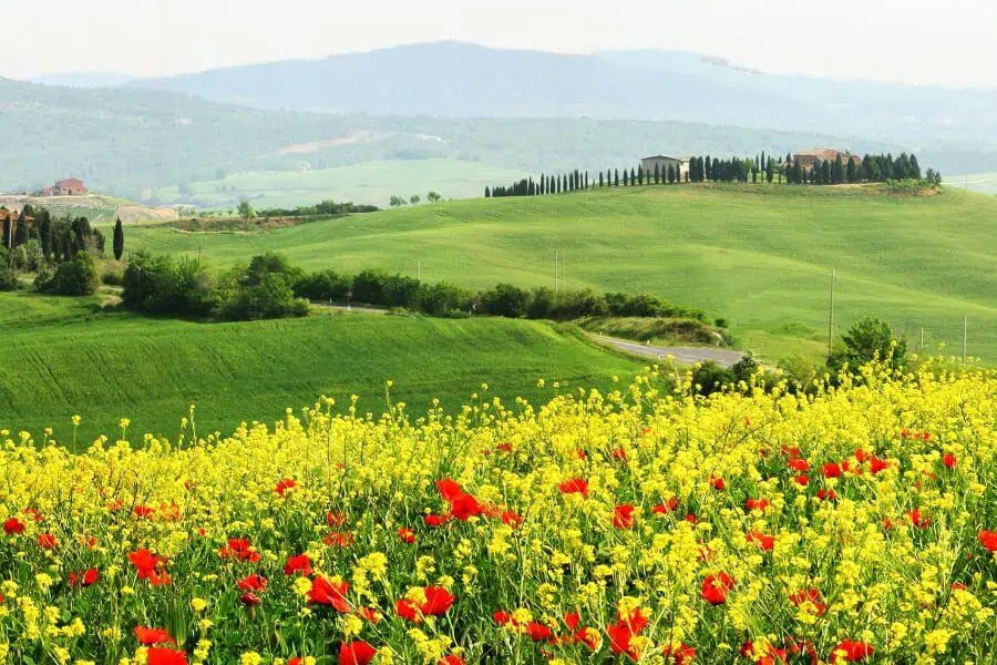 tuscany italy spring europe