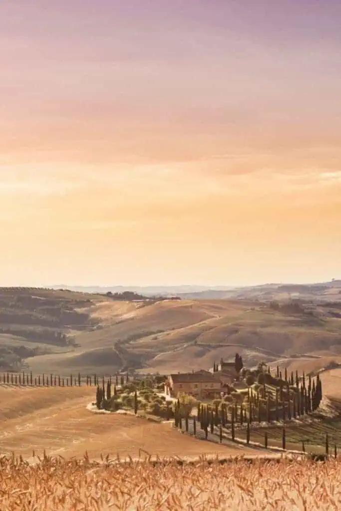 golden wheat fields and rolling hills bathed in warm sunset light surround a rustic farmhouse lined with cypress trees in tuscany, italy