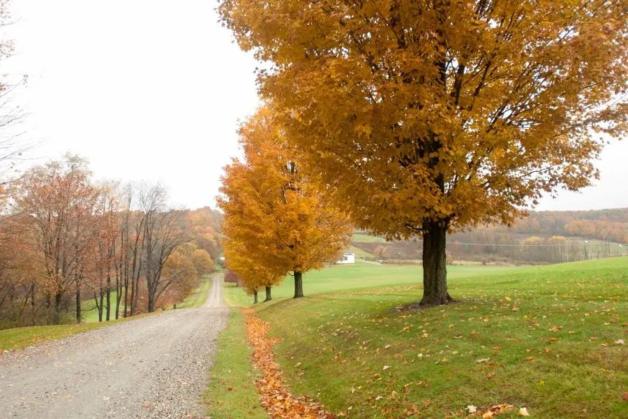 vermont road trip best road trips in usa