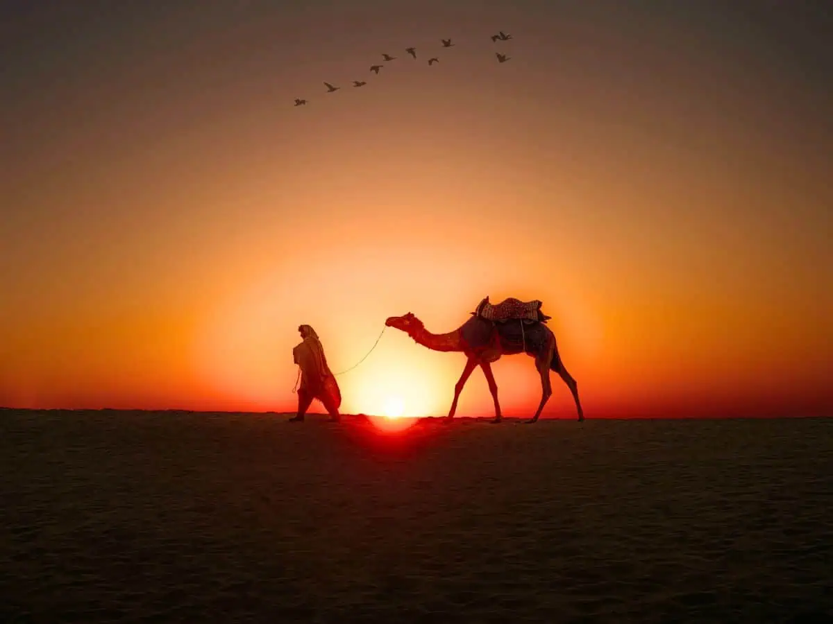 visiting jaisalmer travel guide