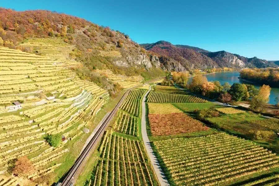wachau vineyards austria