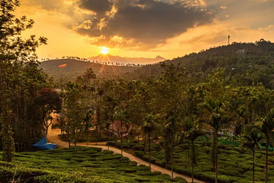 wayanad kerala