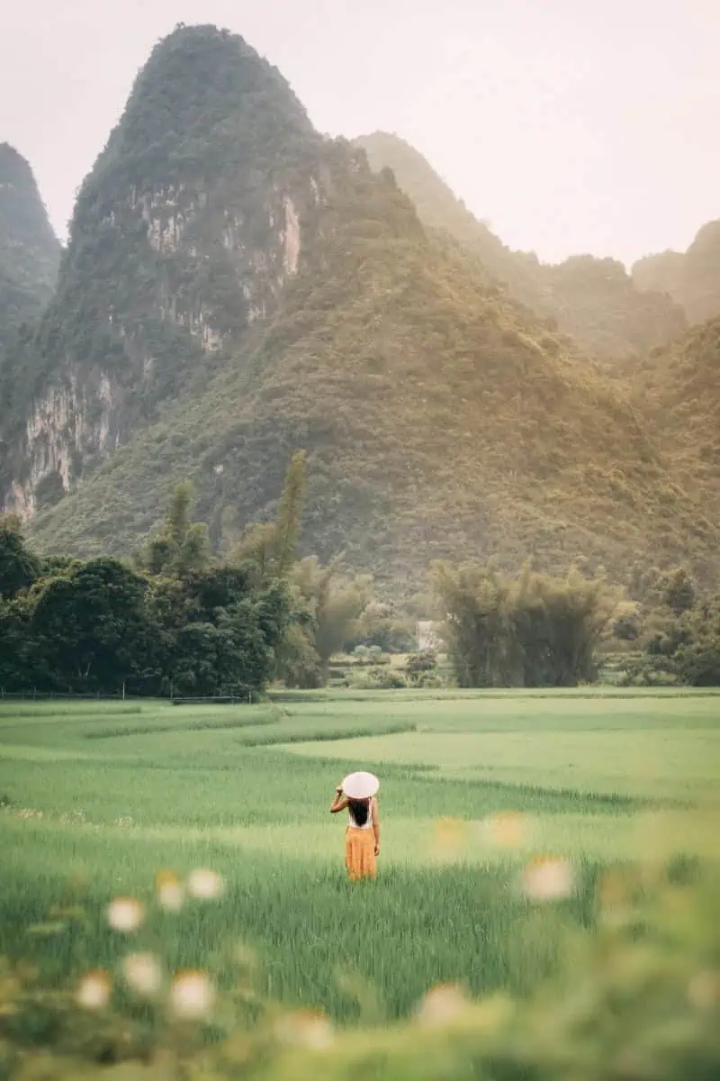 a woman wearing a traditional conical hat standing in the middle of lush green rice fields, surrounded by misty limestone mountains in rural Vietnam