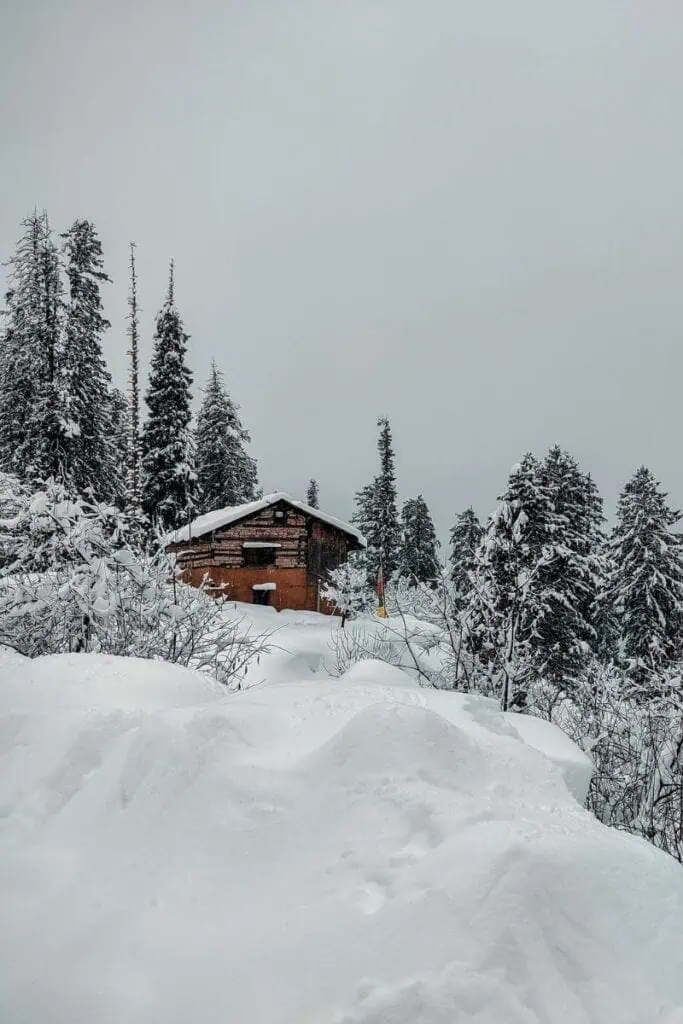  snow-covered wooden cabin surrounded by pine trees in manali, himachal pradesh, india